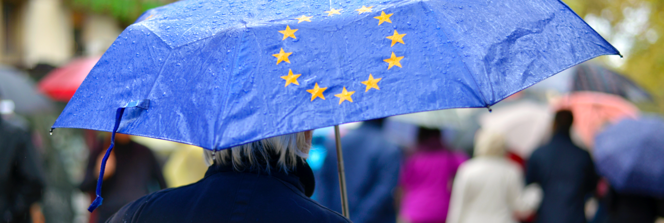 Eine Person hält einen Regenschirm in der Farbe und mit den Sternen der EU-Fahne