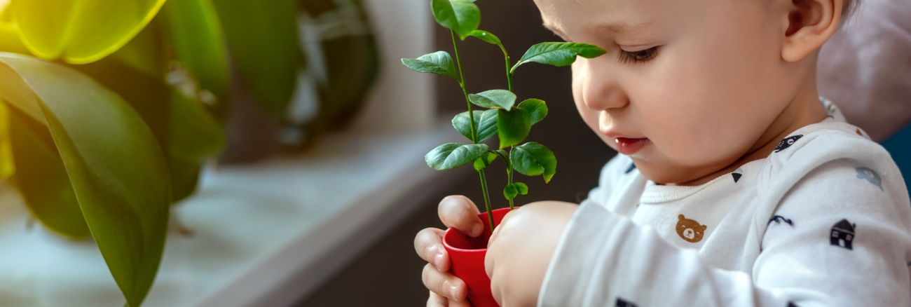 Ein Kind am Fenster hält einen kleinen roten Blumentopf mit einer Pflanze © iStock/Kyryl Gorlov