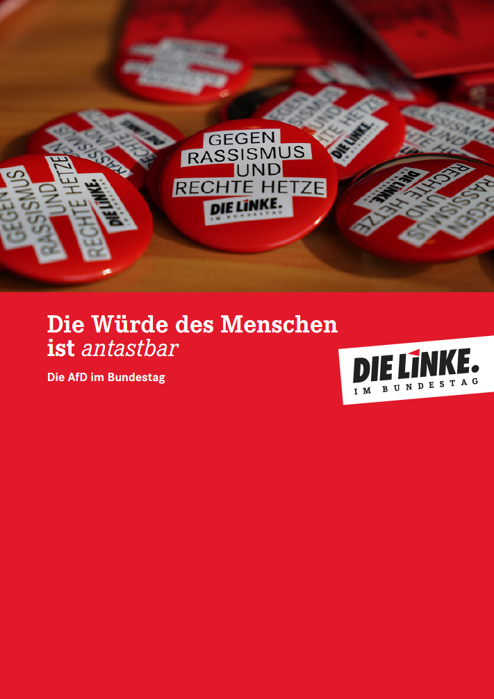 AfD Broschuere Titel