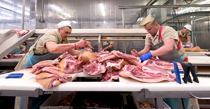 Arbeiter zerteilen Fleisch in einer Fleischfabrik / einem Schlachthof. Foto: © istock.com/IP Galanternik D.U. Arbeiter zerteilen Fleisch in einer Fleischfabrik / einem Schlachthof. Foto: © istock.com/IP Galanternik D.U.