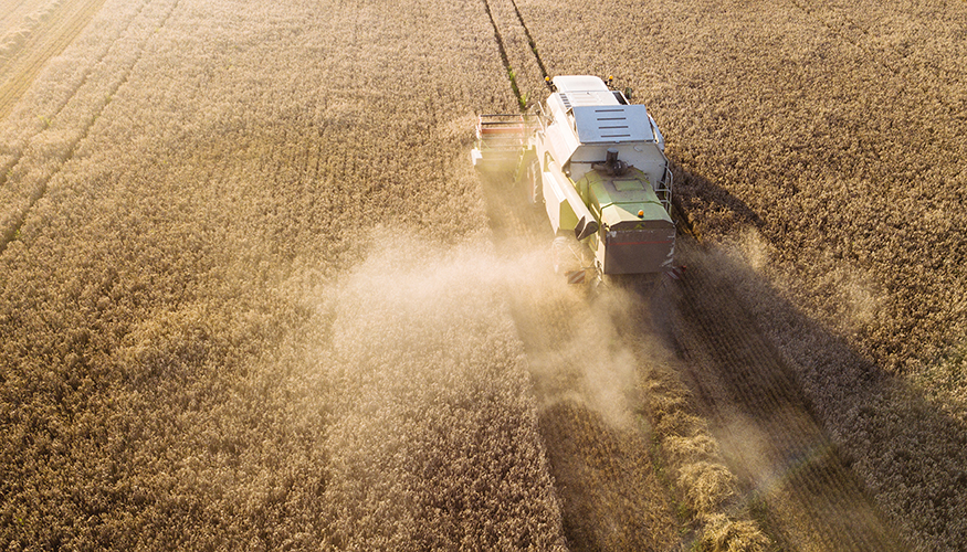 Dürre in Deutschland: Mähdrescher bei der Ernte © istockphoto.com / Bene_A Dürre in Deutschland: Mähdrescher bei der Ernte