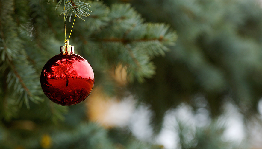 Rote Weihnachtskugel an einer Tanne 
