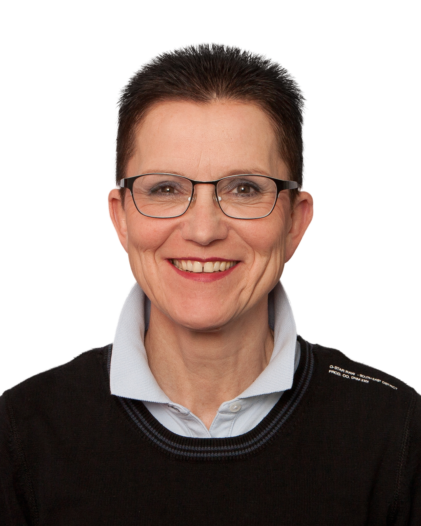 Profil Gruppe Die Linke im Bundestag